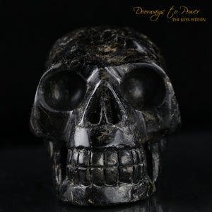 Ancient Nuummite Crystal Skull