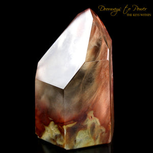 Angel Phantom Amphibole Quartz Crystal Point