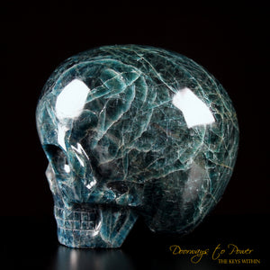 Apatite Magical Child Crystal Skull By Leandro De Souza