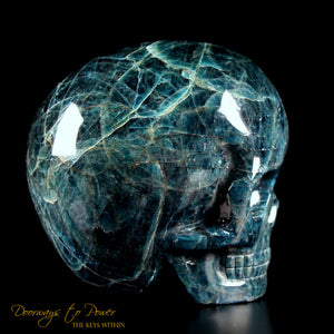 Apatite Magical Child Crystal Skull By Leandro De Souza 