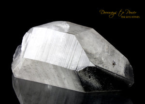 Black Phantom Lemurian Record Keeper Temple Heart Dow Crystal 'The Protector'