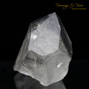 Black Phantom Lemurian Record Keeper Quartz Crystal 'The Protector'