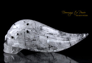 Black Tourmalinated Star Traveler Quartz Crystal Skull