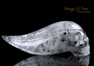 Black Tourmalinated Star Traveler Quartz Crystal Skull