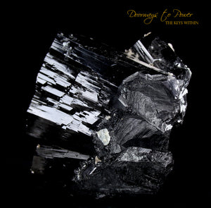 Black Tourmaline Etched Record Keeper Crystal Cannon