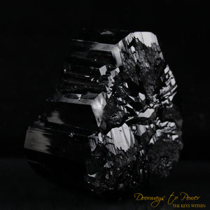 Black Tourmaline Etched Record Keeper Crystal Cannon 'Armor Grid'