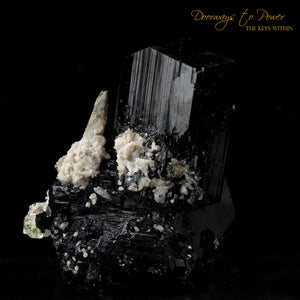 Black Tourmaline Etched Record Keeper Crystal Cannon 'Armor Grid'