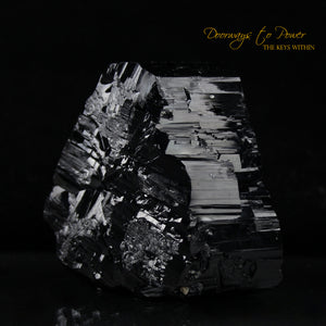 Black Tourmaline Etched Record Keeper Crystal Cannon 'Armor Grid'