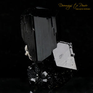 Black Tourmaline Etched Record Keeper Crystal Cannon 'Armor Grid'