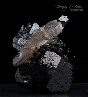 Black Tourmaline Etched Record Keeper Crystal