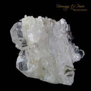 Brookite in Quartz Crystal Cluster Points 'Museum Quality'