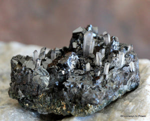 Shamanic Power Cluster w/ Galena, Quartz, Pyrite