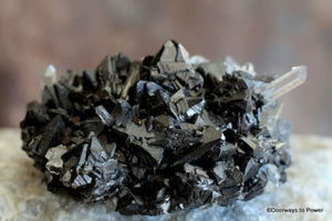 Galena Power Cluster with Fine Quartz Points