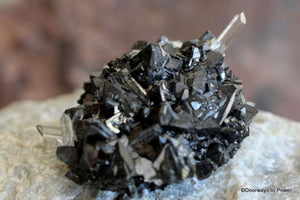 Galena Power Cluster with Fine Quartz Points