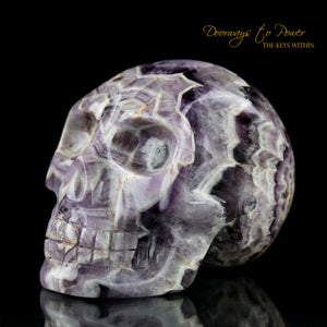 Chevron Amethyst Crystal Skull 'Mouth of God' by Leandro De Souza 