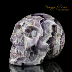 Chevron Amethyst Crystal Skull 'Mouth of God' by Leandro De Souza