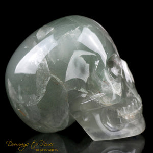 Chlorite in Quartz Crystal Skull by Leandro De Souza