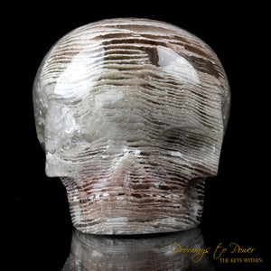 Chlorite in Quartz Magical Child Crystal Skull