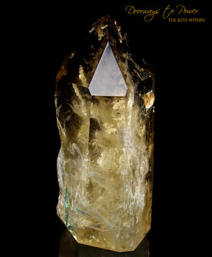 Citrine Quartz Point with Green Tourmaline Inclusions