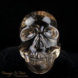 Citrine Twin Quartz Crystal Skull 'Duality' by Leandro