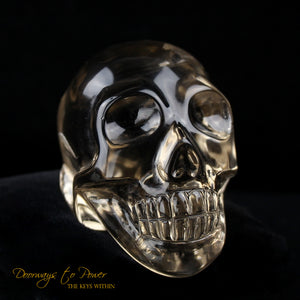 Citrine Twin Quartz Crystal Skull 'Duality' by Leandro
