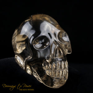 Citrine Twin Quartz Crystal Skull 'Duality' by Leandro