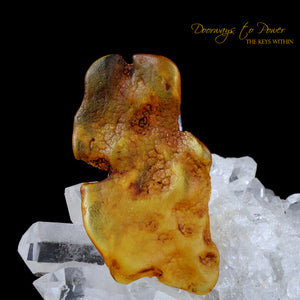 Colombian Amber Dragon Crystal Carving