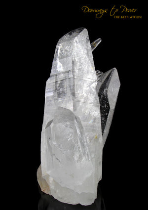 Colombian Lemurian Light Quartz Crystal Cluster XL 'Illuminate'