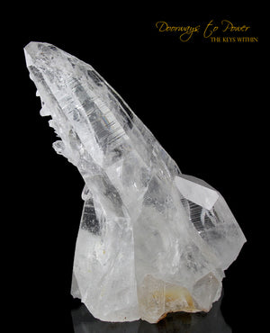 Colombian Lemurian Light Quartz Crystal Cluster XL 'Illuminate'