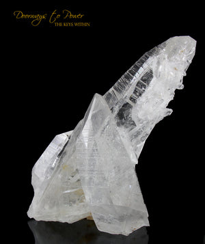 Colombian Lemurian Light Quartz Crystal Cluster XL 'Illuminate'
