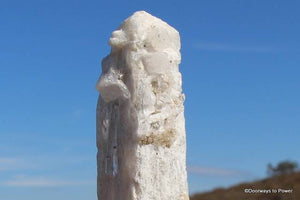 Danburite Crystal Tantric Twin Synergy 12 Stone