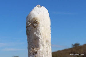 Danburite Crystal Tantric Twin Synergy 12 Stone