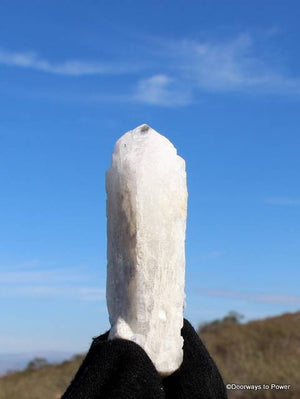 Danburite Crystal Tantric Twin Synergy 12 Stone