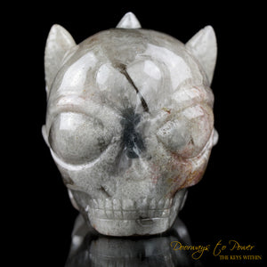 Dragon Alien Skull by Leandro De Souza 