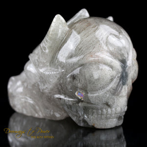 Leandro De Souza Crystal Skulls