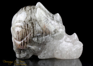 Leandro De Souza Dragon + Alien + Heart Alchemical Crystal Skull Sculpture 