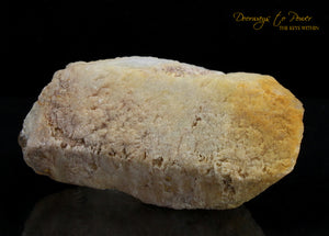 Tangerine Dreamsicle Lemurian Quartz Crystal Record Keeper