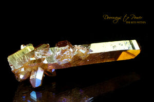 Golden Aura Lemurian Seed Crystal Record Keeper