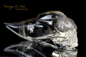 Golden Citrine Quartz 'Atomic' Traveler Crystal Skull