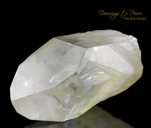 Golden Healer Lemurian Seed Quartz Record Keeper Crystal