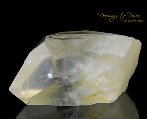 Golden Healer Lemurian Seed Quartz Record Keeper Crystal 