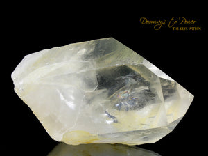 Golden Healer Lemurian Seed Quartz Record Keeper Crystal 