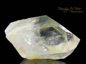 Golden Healer Lemurian Seed Quartz Record Keeper Crystal