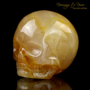 Golden Healer Quartz Magical Child Crystal Skull