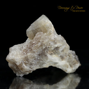 Golden Herderite Synergy 12 Stones