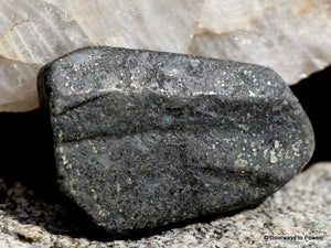 Healers Gold™ (Pyrite/Magnetite) Shield