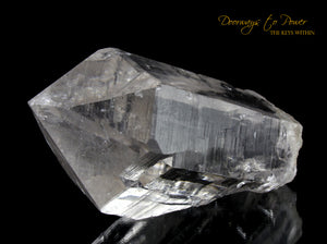 Himalayan Nirvana Cathedral Quartz Crystal Record Keeper 'Non Ordinary Reality' Rare