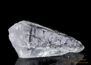 Himalayan Nirvana Cathedral Quartz Crystal Record Keeper