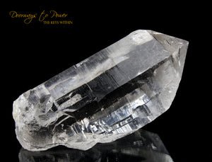 Himalayan Nirvana Cathedral Quartz Crystal Record Keeper 'Non Ordinary Reality' Rare