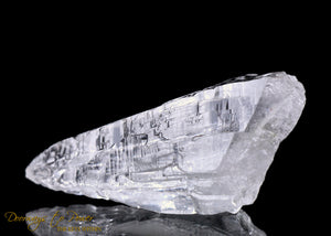 Himalayan Nirvana Cathedral Quartz Crystal Record Keeper